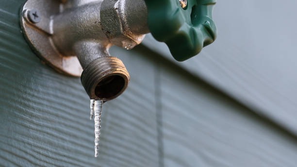 Best Local Plumber Services  in Flora, IN