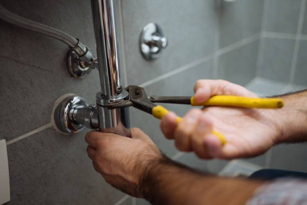 Best Water Softener Installation  in Flora, IN